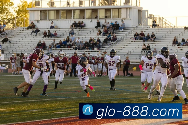 888电子官网平台生态图